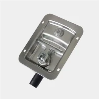 Recessed T-handle Latch With D Ring Pull